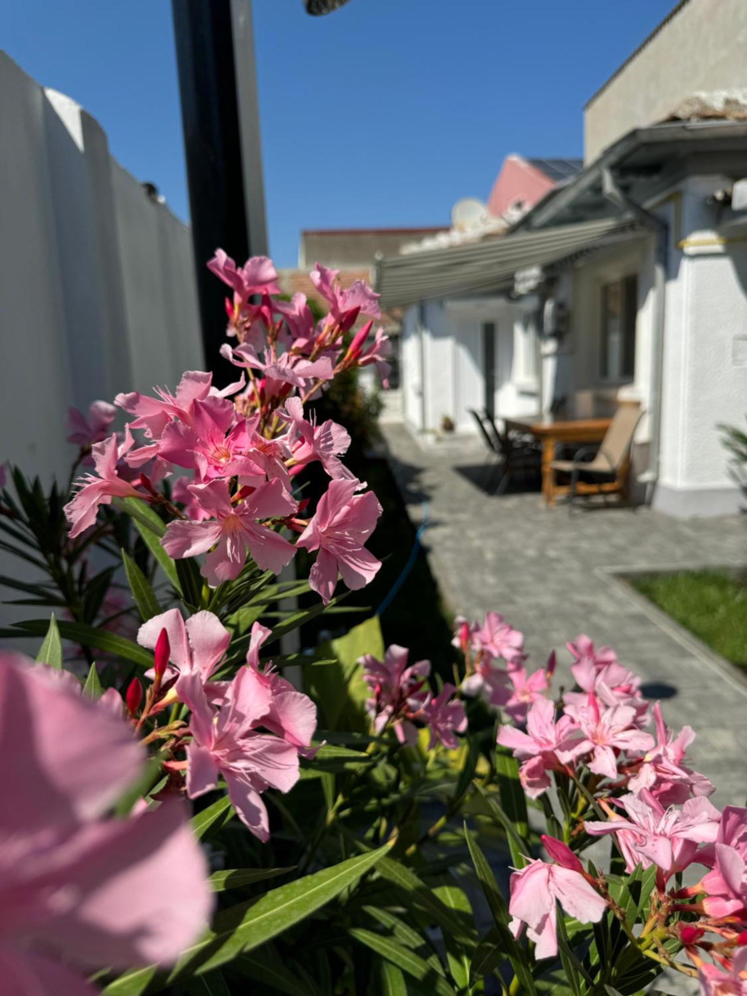 Nord 22 Villa Constanţa Eksteriør billede